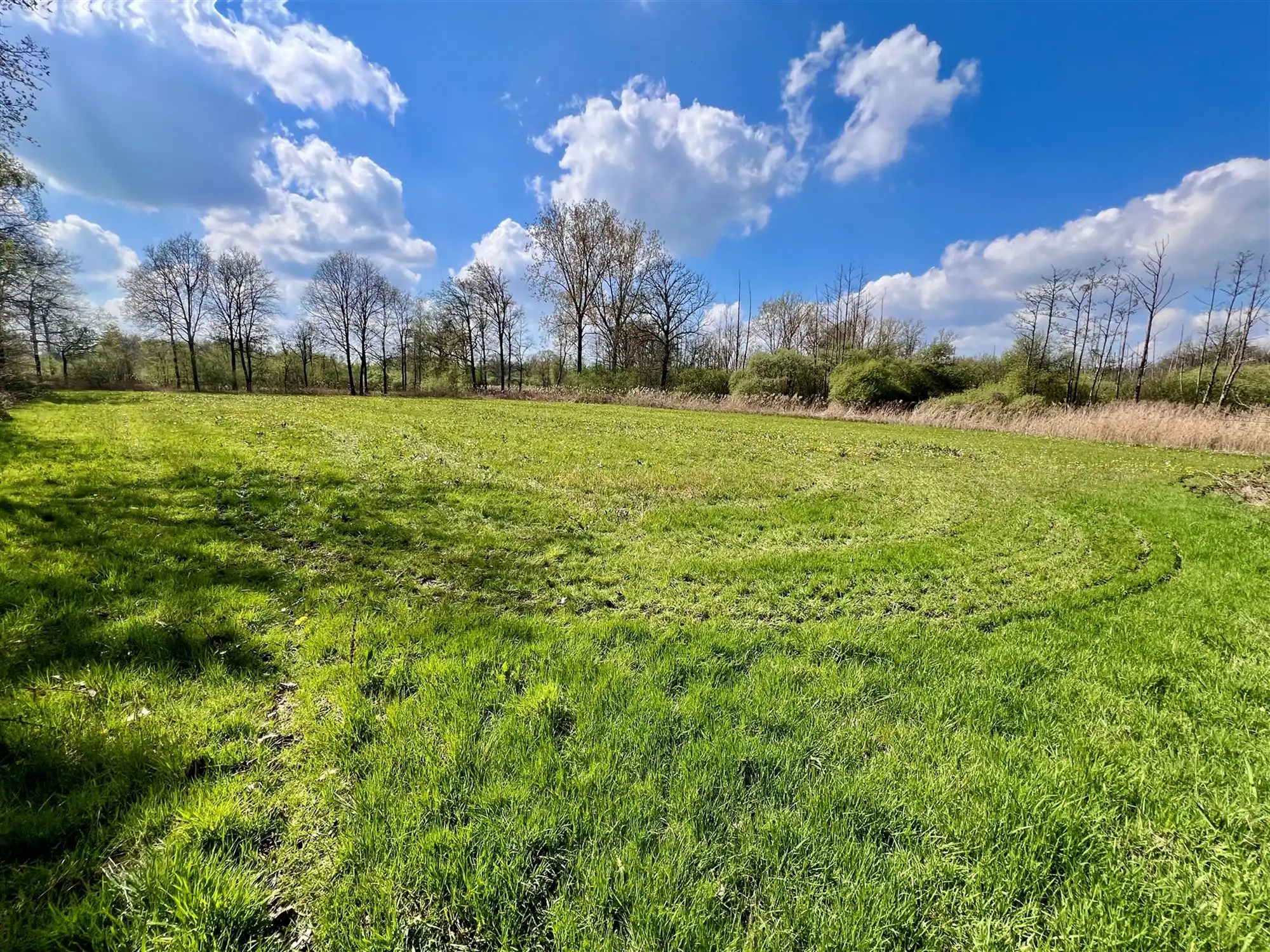 Agrarisch perceel van 8.260 m,  groene en rustige omgeving  foto 3