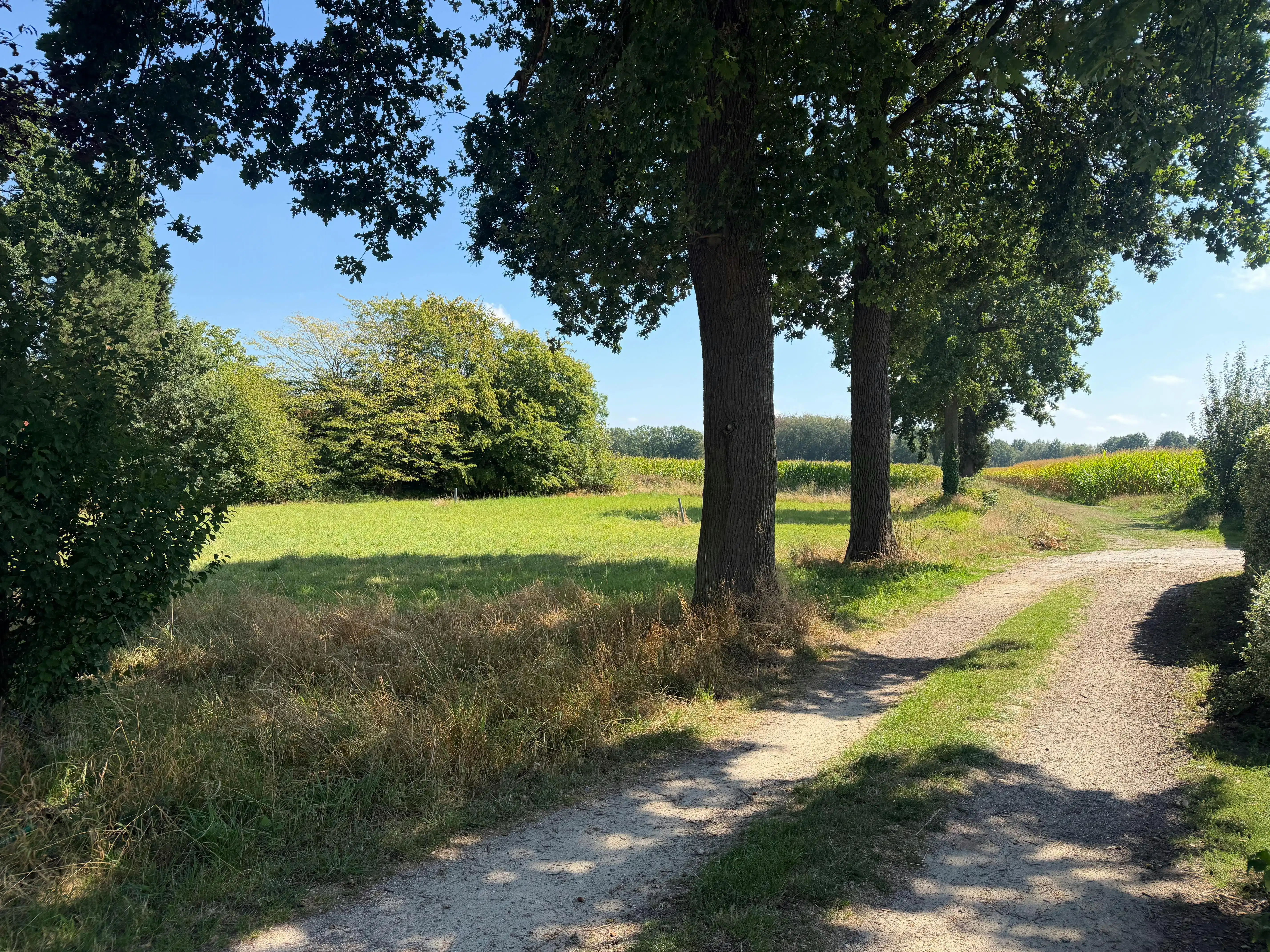 Zuidgerichte bouwgrond met zicht op velden te koop - Brecht foto 7