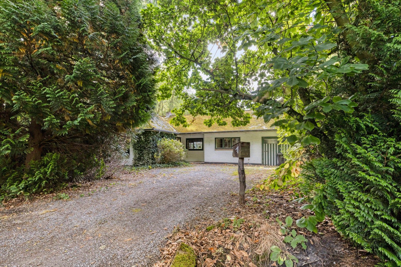 Volledig te renoveren/af te breken woning op prachtig perceel van 2682 m² te Schilde! foto 3