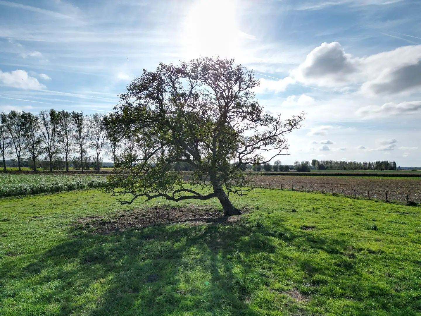 Ruim en modern wonen temidden van de polders foto 35
