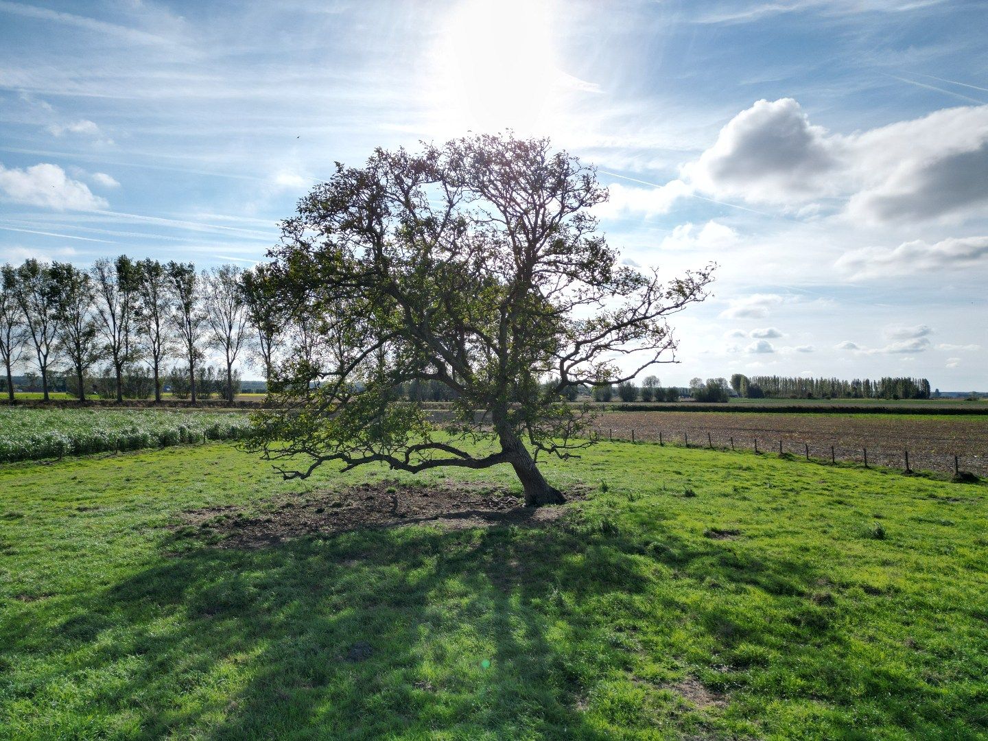 Ruim en modern wonen temidden van de polders foto 35