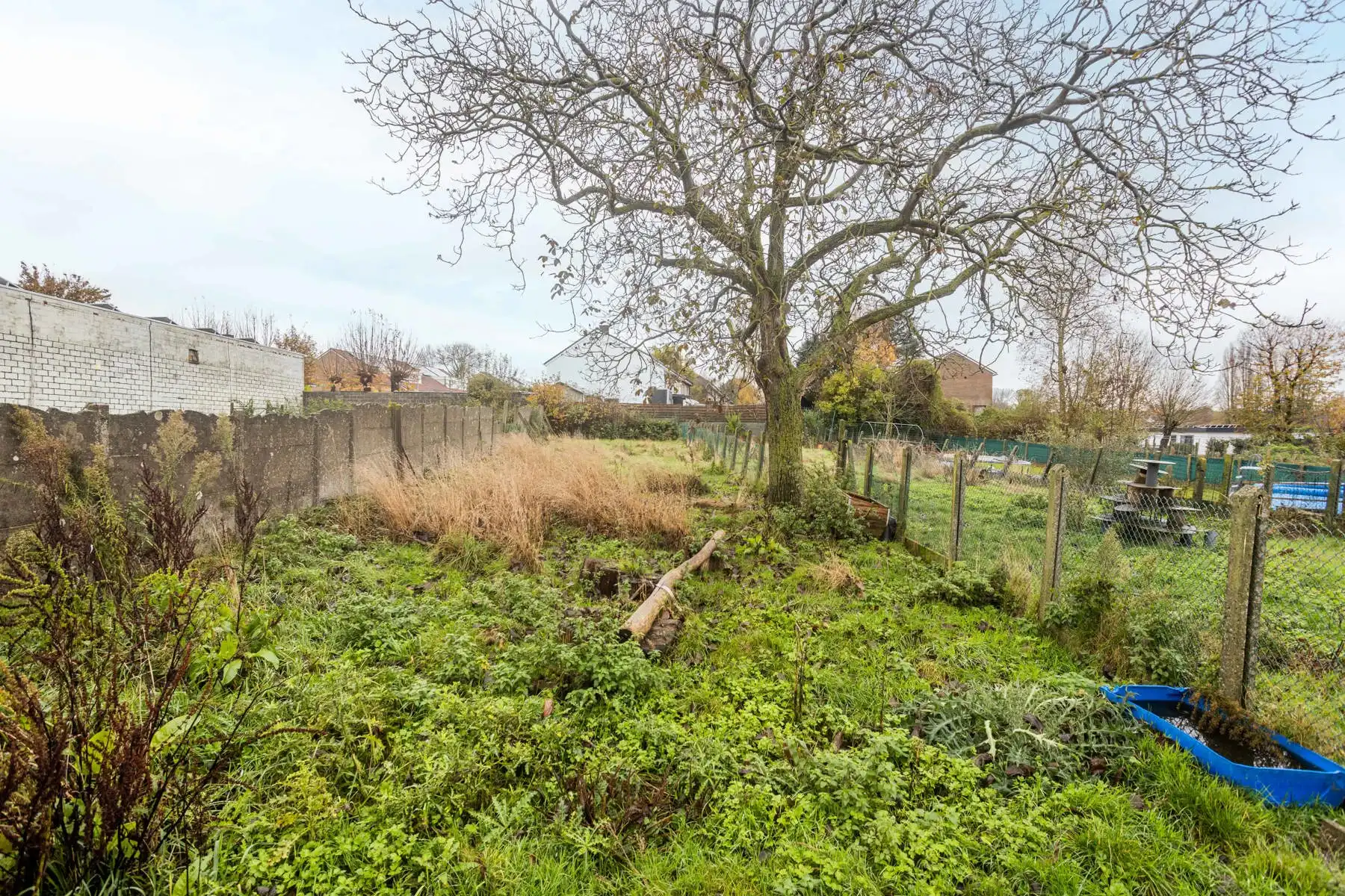 Polyvalente woning met groot magazijn! foto 37