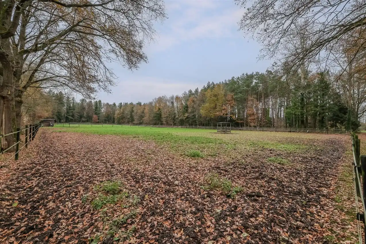 Toffe woning met weiland van meer dan 1Ha foto 44