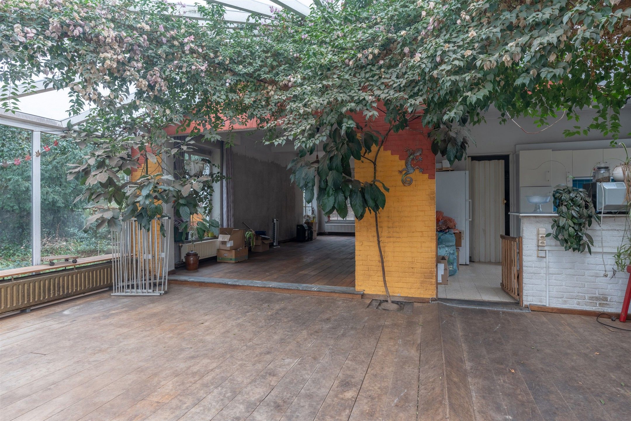 Charmante woning met veel potentieel op perceel van ± 4.100m². foto 8