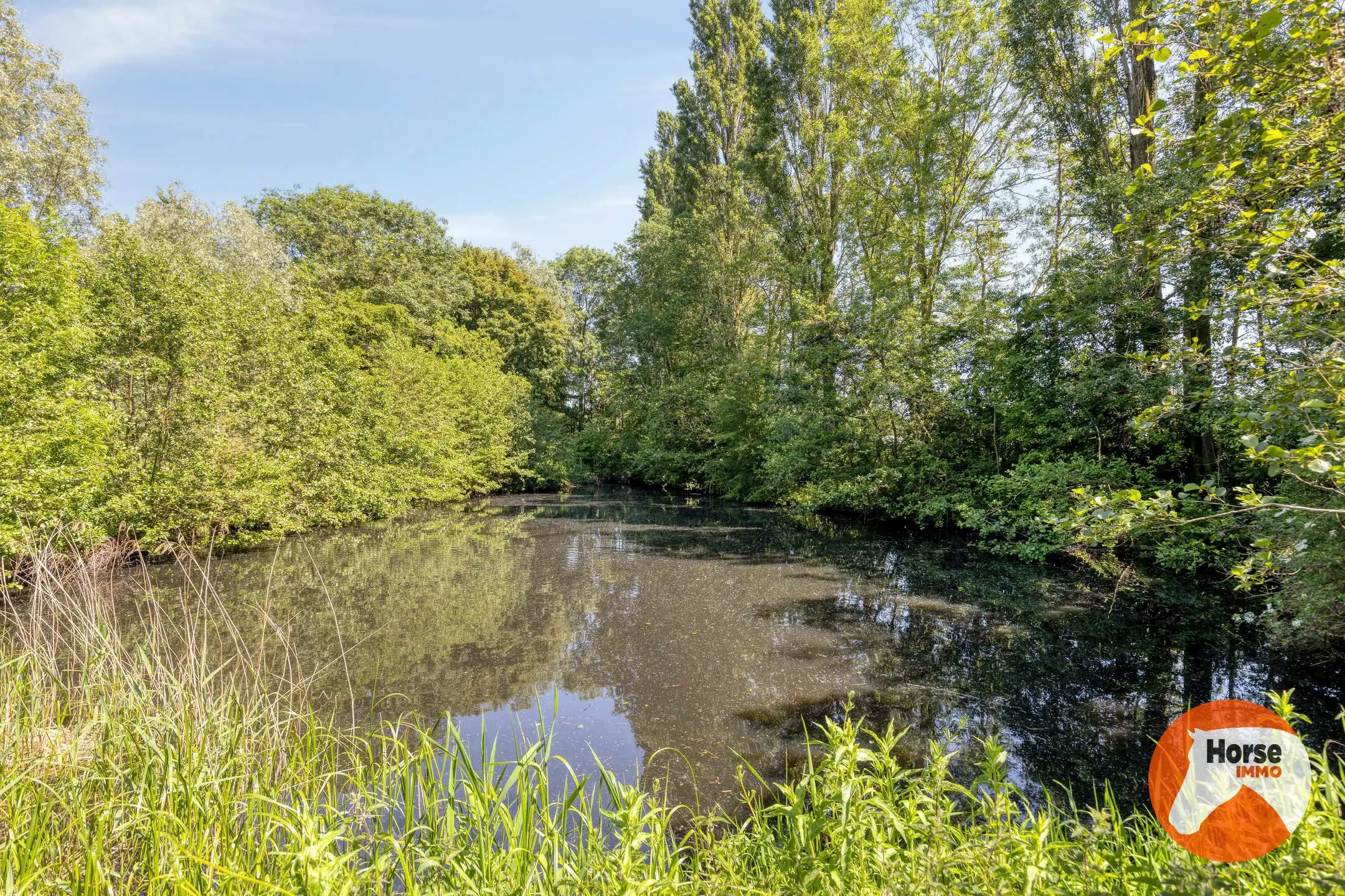ROESELARE – Unieke villa met bijgebouwen op 4,7 ha foto 34