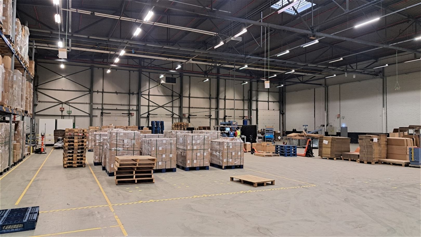 Logistieke unit + kantoren te Zele foto 21