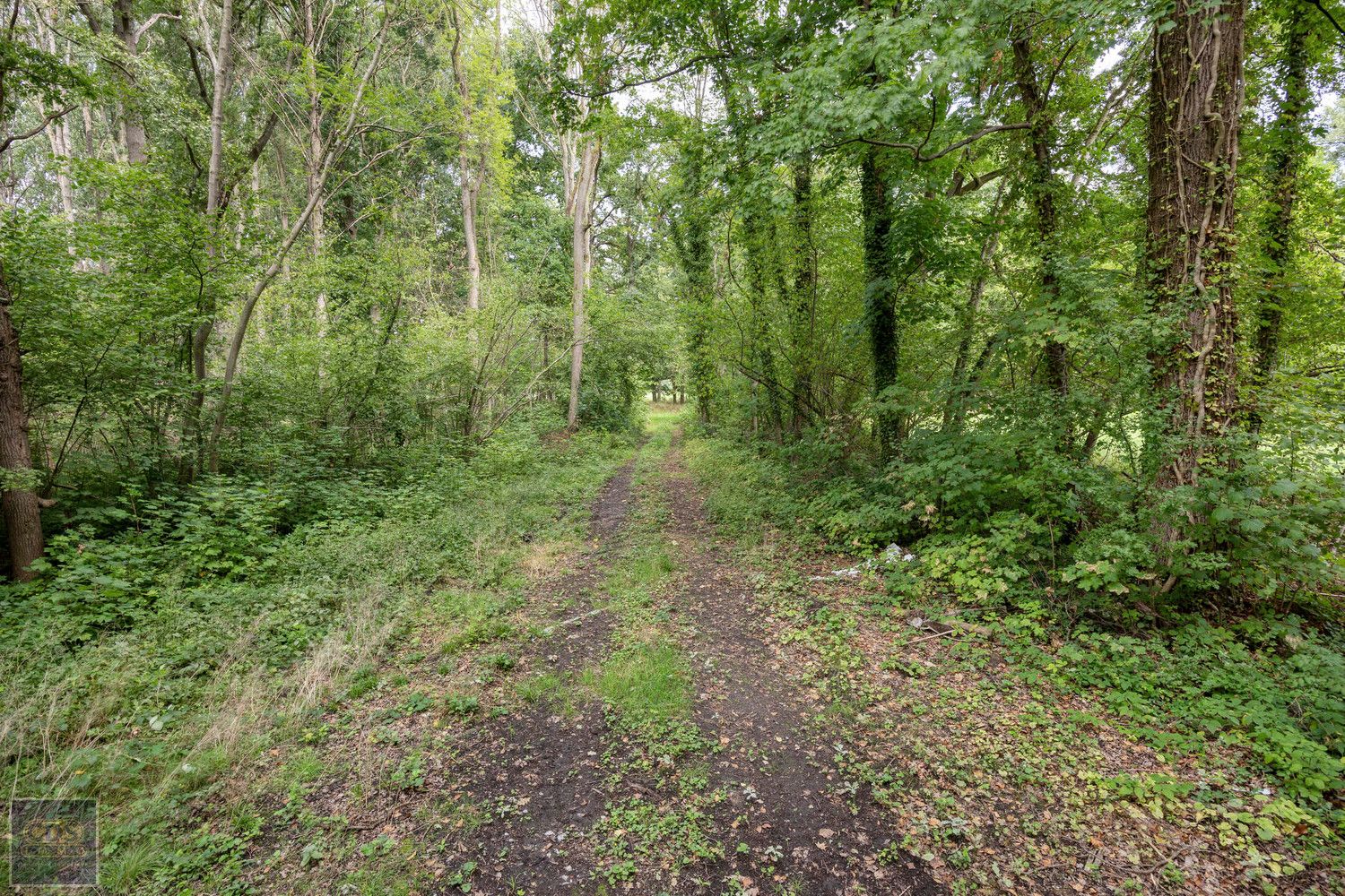 Landgoed foto 47