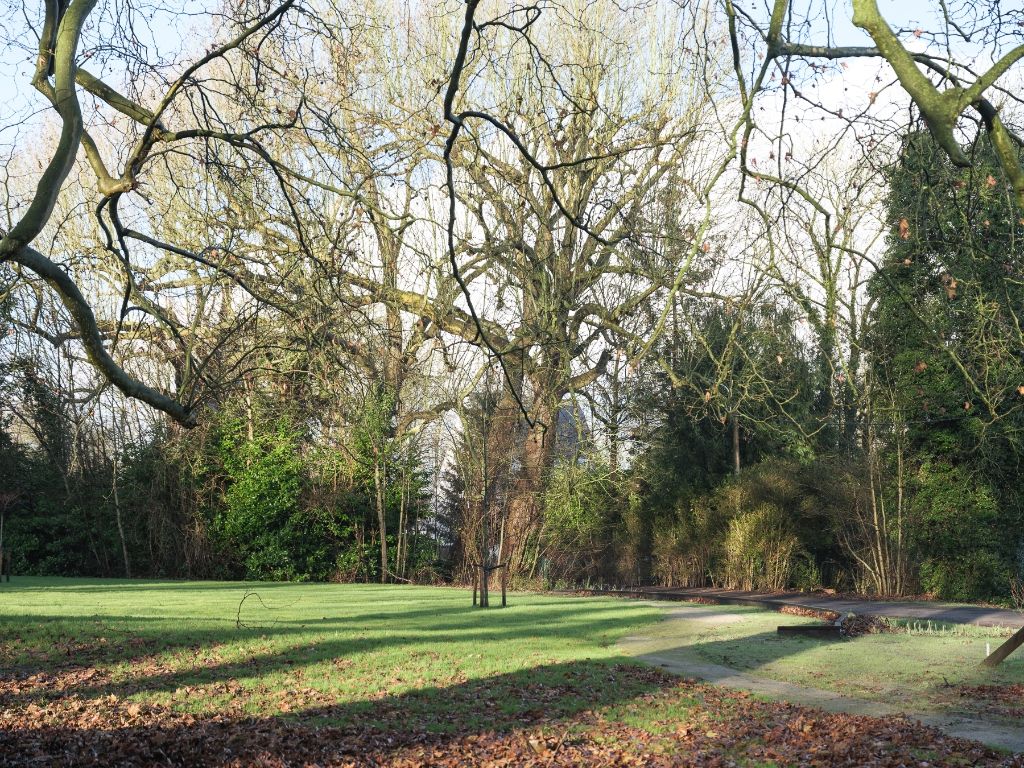 Vrijstaande villa (te renoveren) op slechts 50 meter van de Leie foto 11