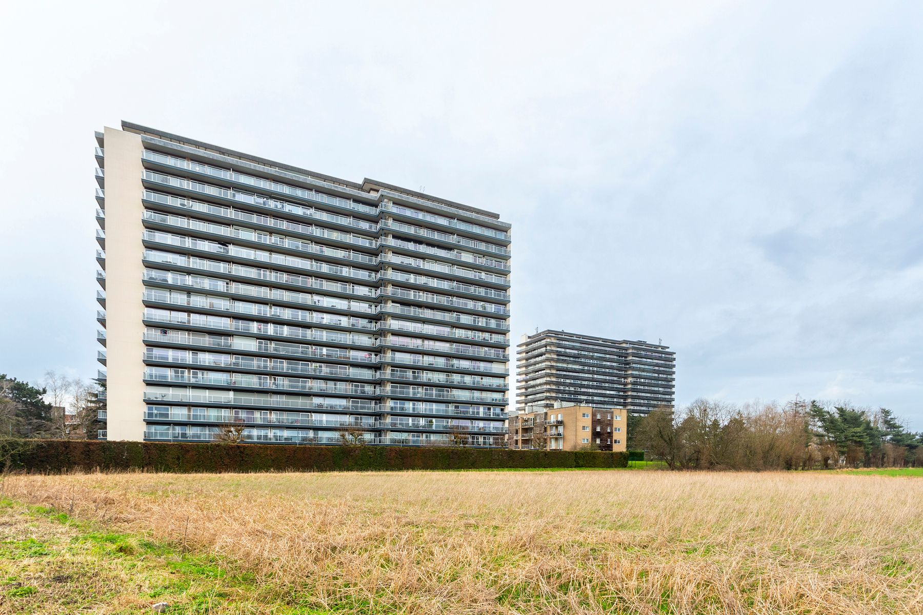 ()=>{if(producerUpdateValueVersion(node),producerAccessed(node),node.value===ERRORED)throw node.error;return node.value} Leiebos 29/106 - 2170 Antwerpen
