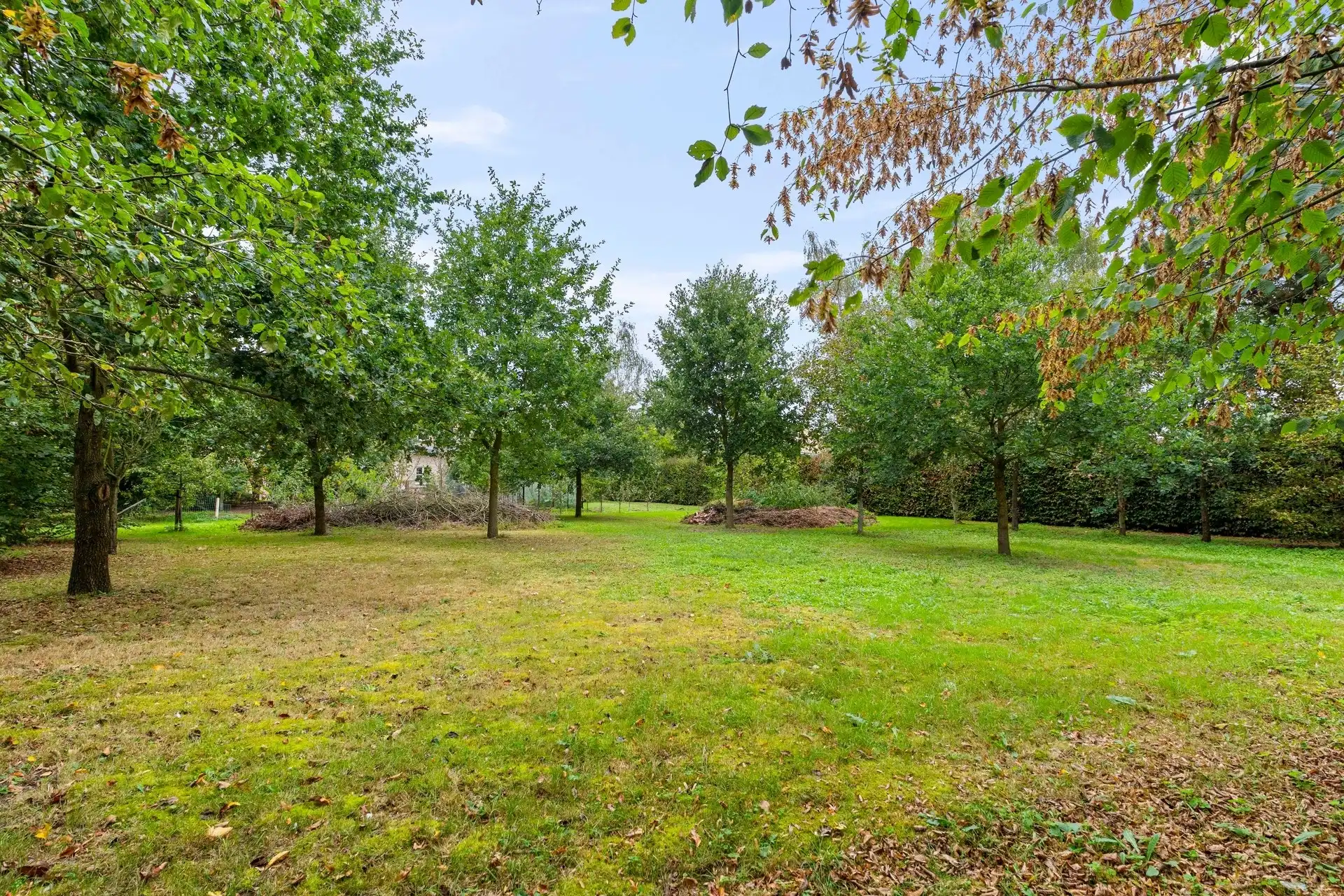 Heel riante casco villa, op 3381m² grond.  foto 27