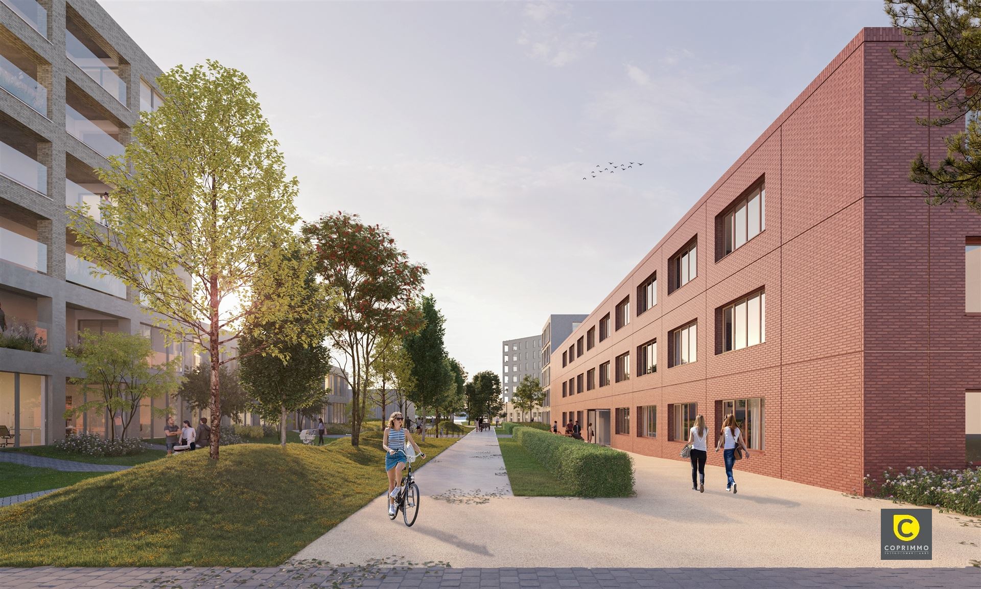 Stadsterras Mortsel: Nieuwbouwappartement foto 5