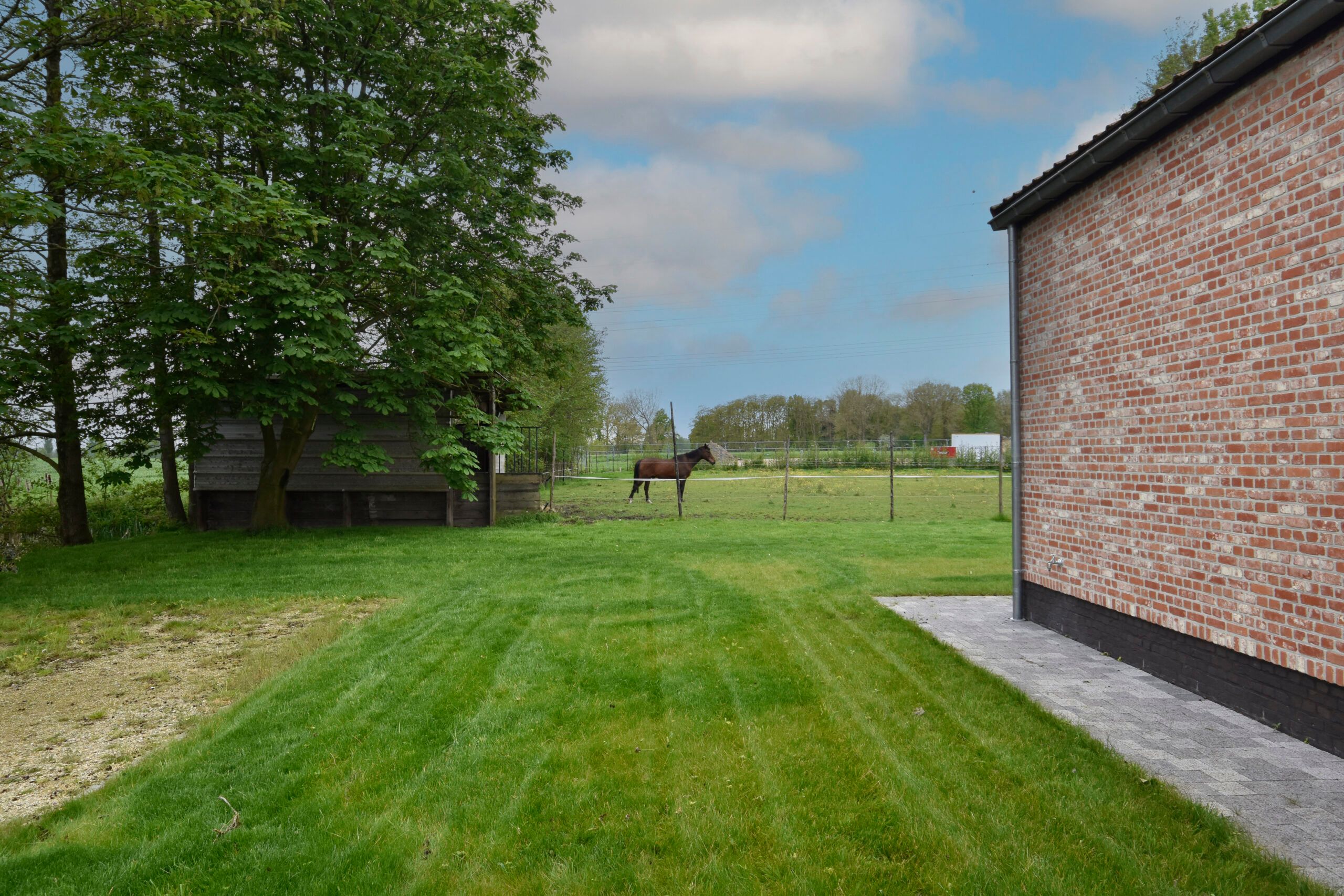 Mooie open bebouwing met 3 slaapkamers in Haasdonk foto 18