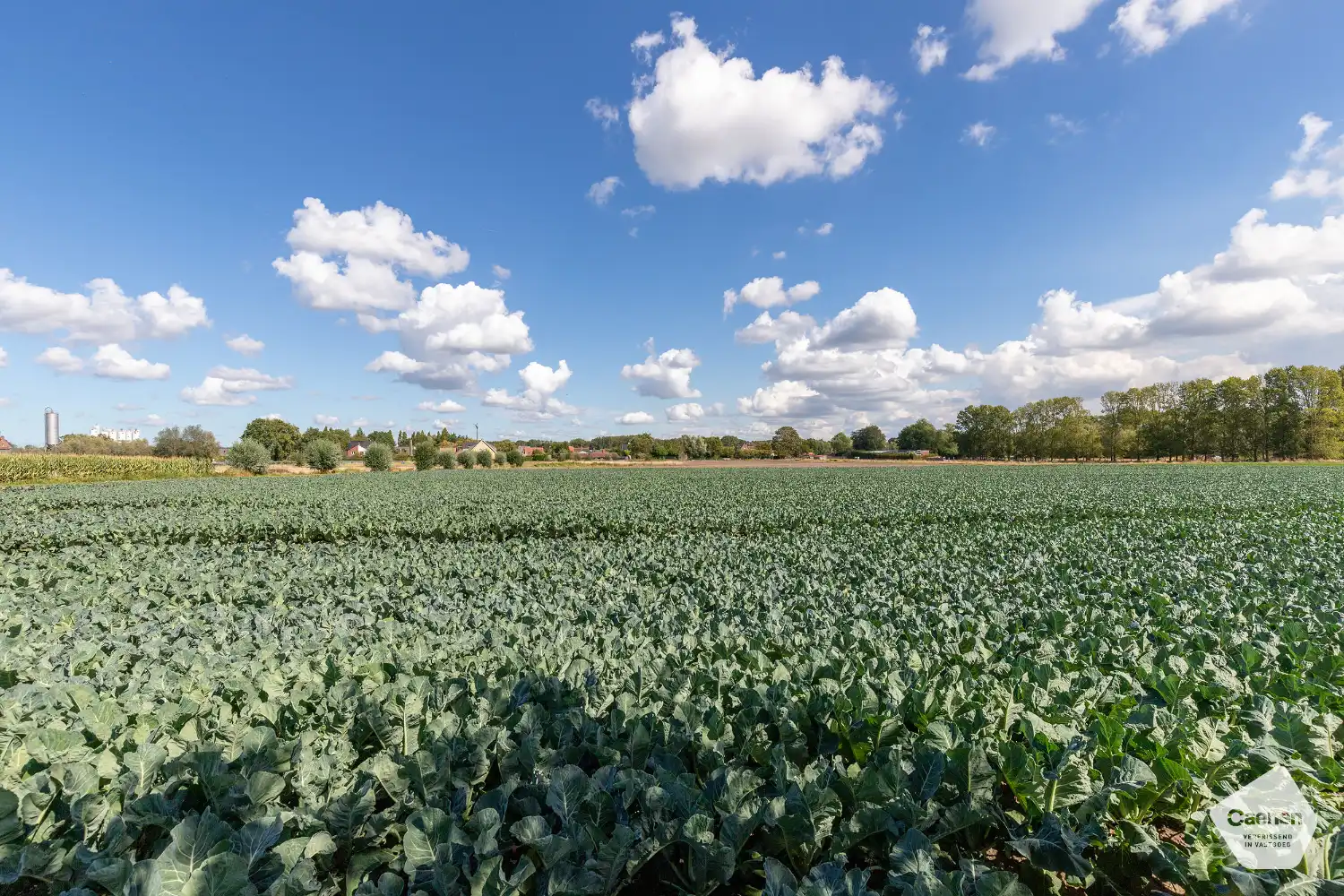 VRIJSTAANDE LANDELIJKE GELEGEN TE RENOVEREN WONING met 3 slaapkamers en MOOI PERCEEL VAN 980 m² foto 2