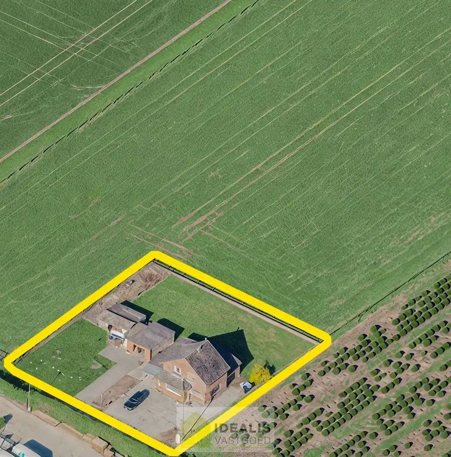 IDEALIS VASTGOED – KARAKTERVOLLE EIGENDOM OP TOPLOCATIE AAN HET KOLISBOS MET VERGUND NIEUWBOUWPROJECT foto 6