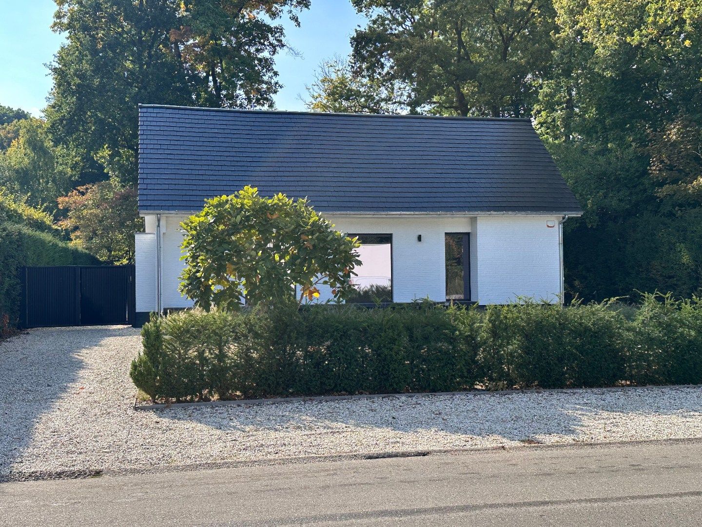 VILLA TE HUUR OP TOPLOCATIE AAN DE GOUDKUST TE NEERHAREN ! foto 29