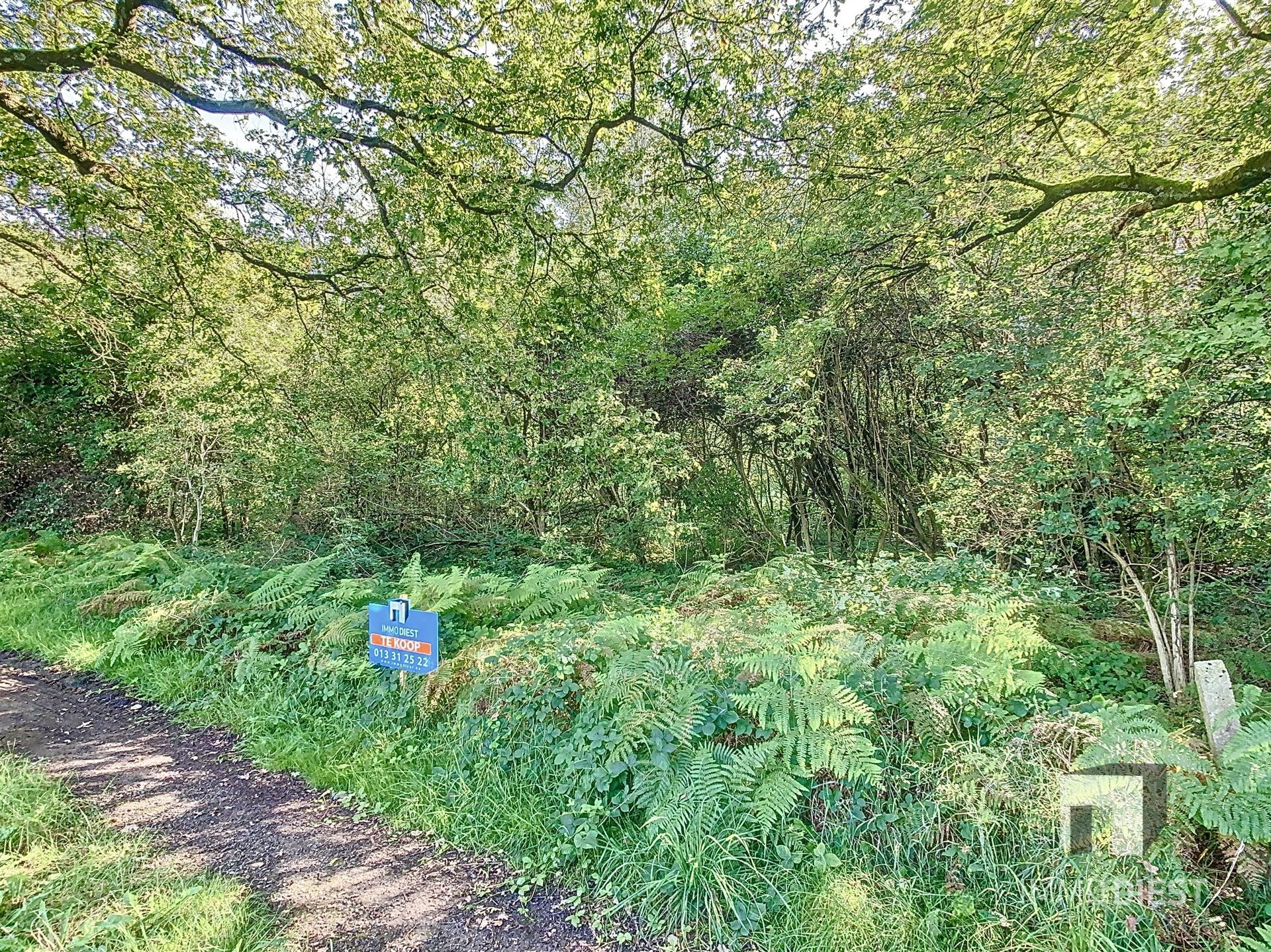 Grond met een oppervlakte van 79a 45ca - natuurgebied foto 3