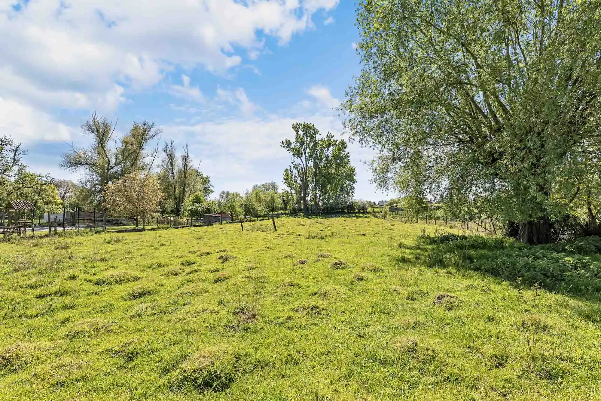 Ruime te renoveren woning met loods en bouwgrond foto 29