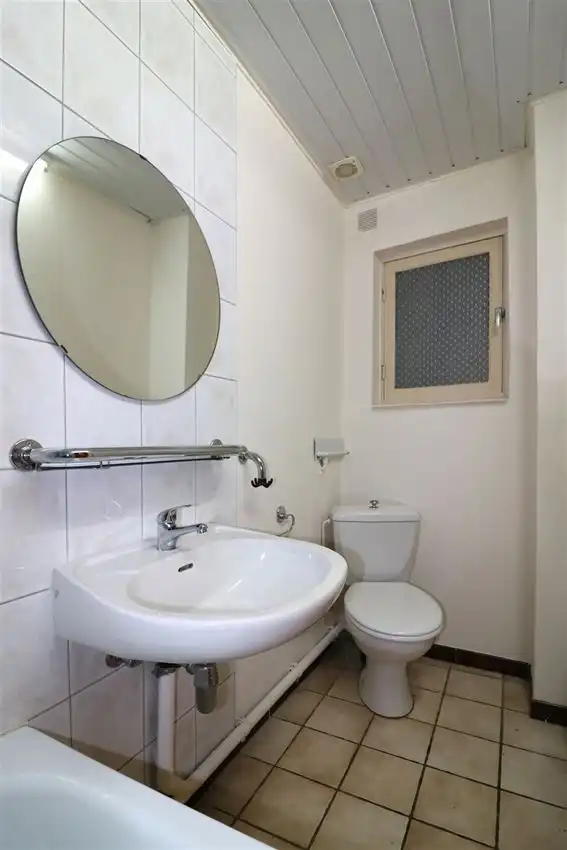 charmant, ruim, mogelijkheid beroep of kangoeroe foto 31