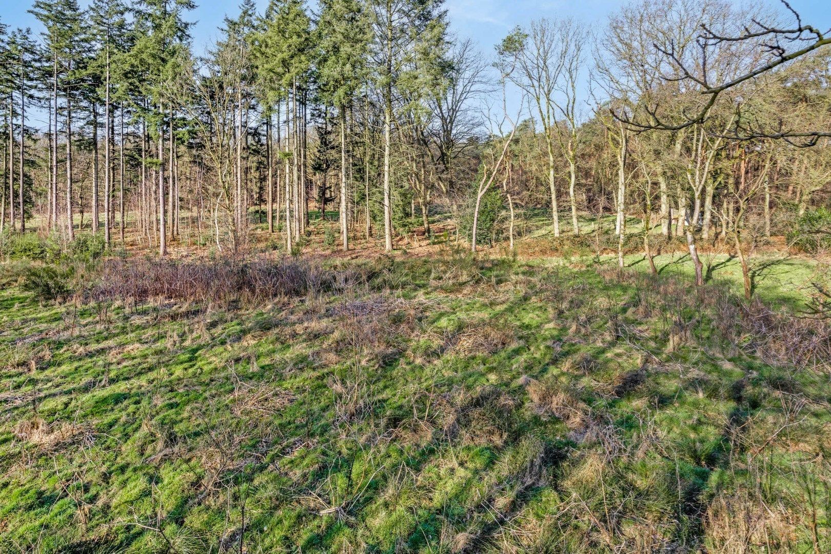 Unieke woonst op 360 are: rust, natuur en eindeloze mogelijkheden! foto 39