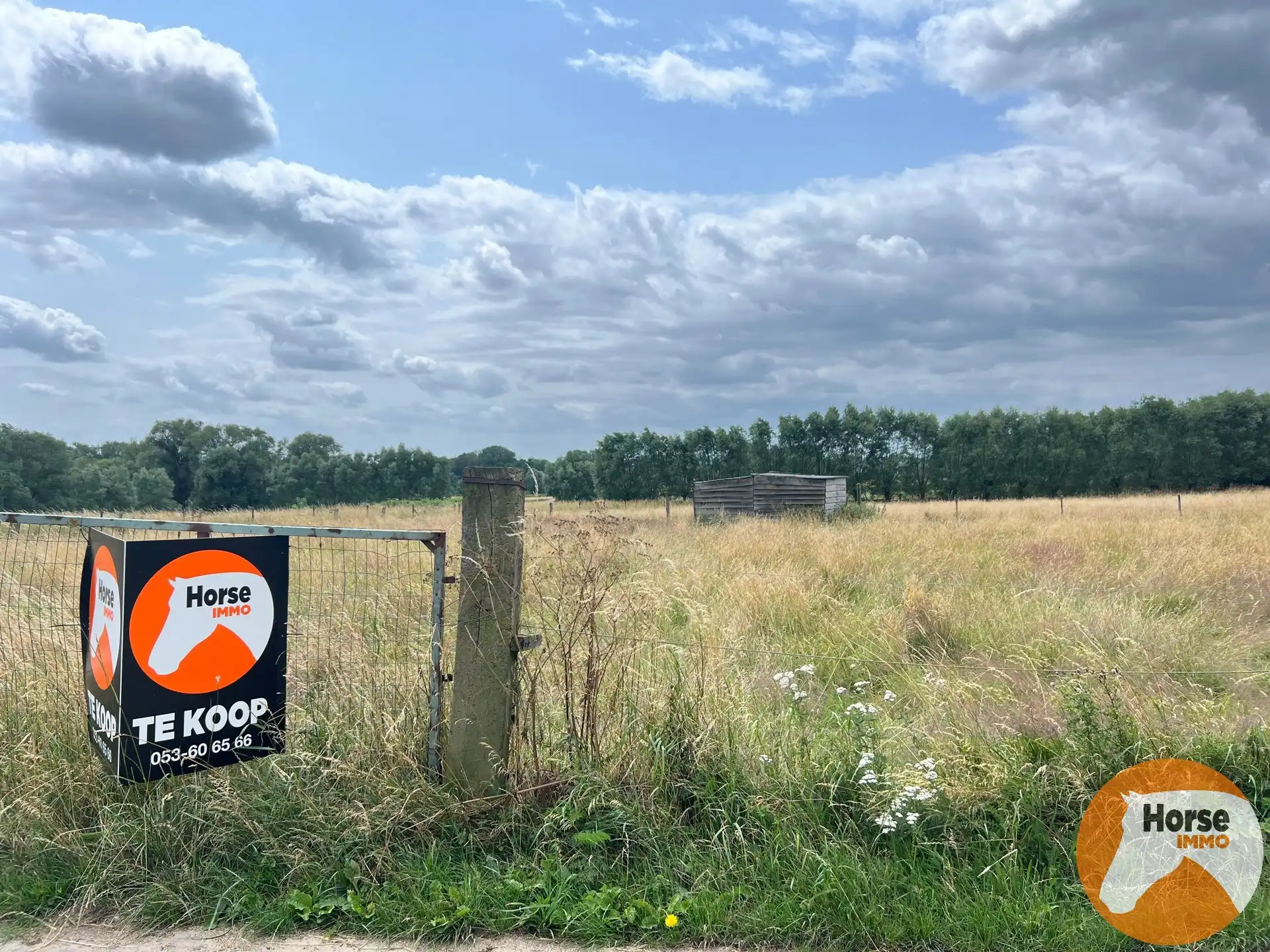 MELDERT - Weide op +/-40Are foto {{pictureIndex}}