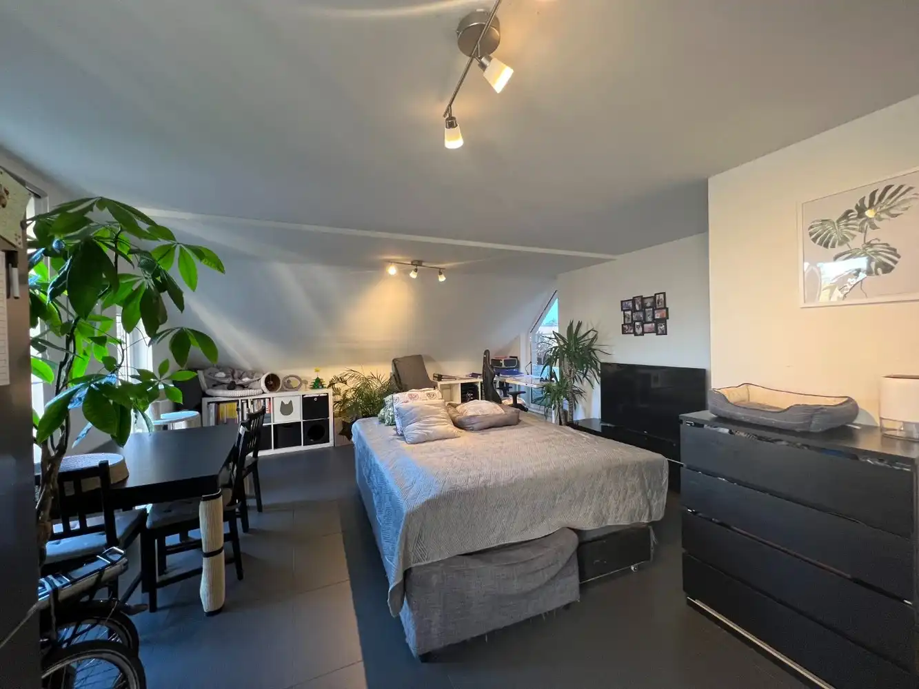 Appartement te huur foto 2