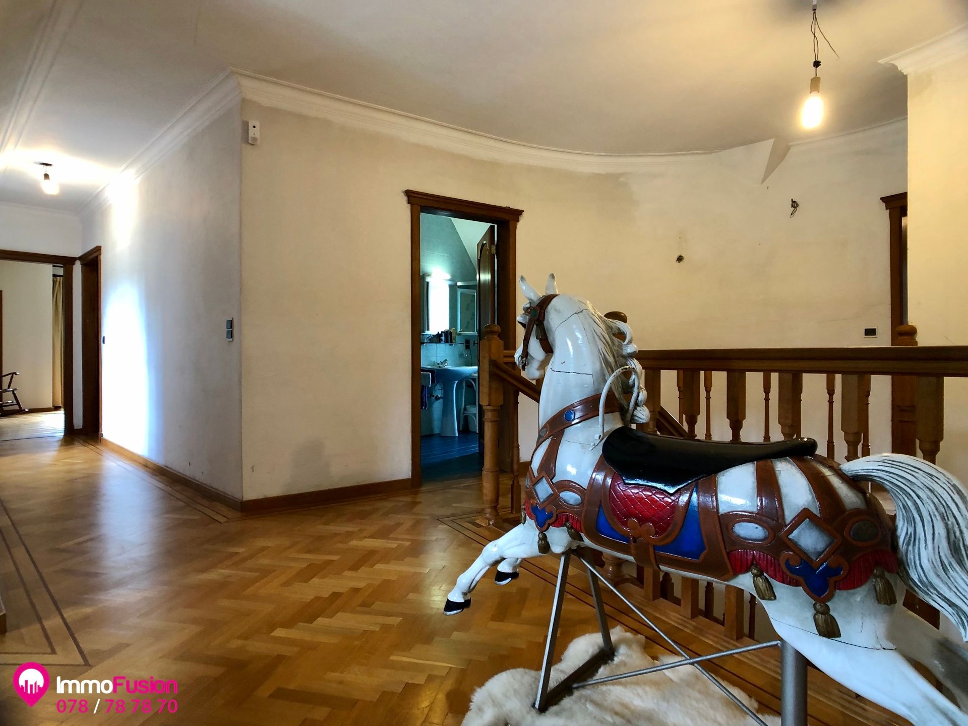 Unieke villa met bijgebouw, op ruim perceel van ca. 8.5 HA! foto 48