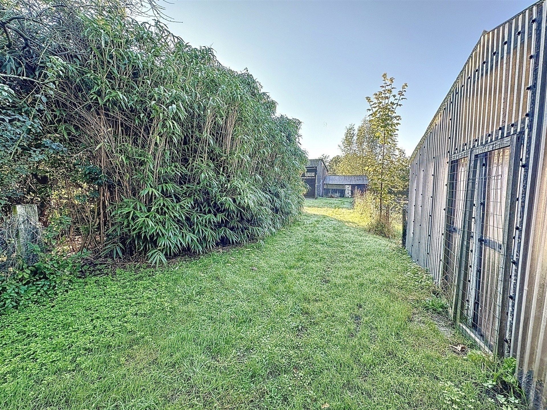 Verzorgde woning met garage en grote bijgebouwen op prachtig perceel van 2435m².  foto 18