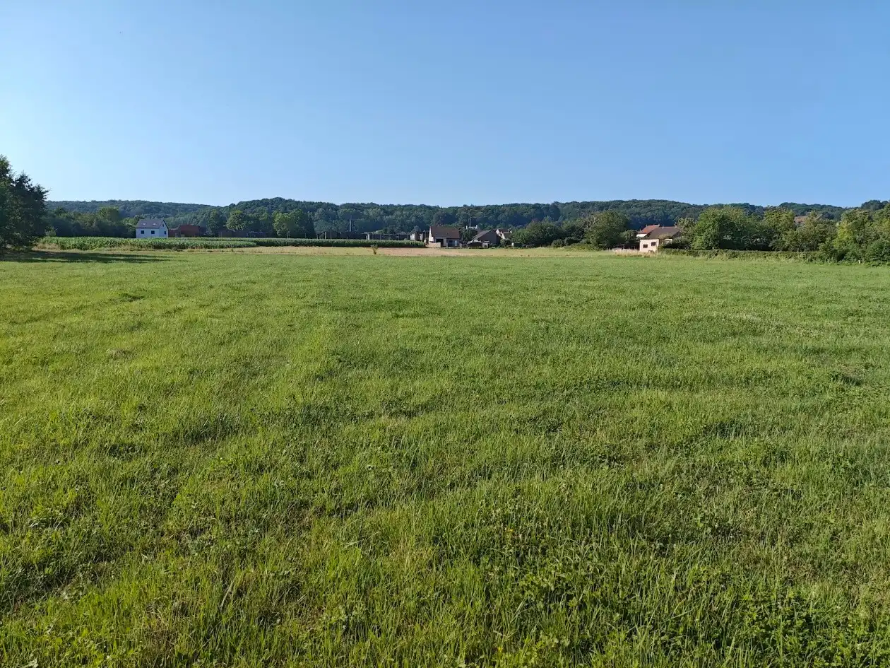 Vrije blok landbouwgrond te koop in Holsbeek foto 3