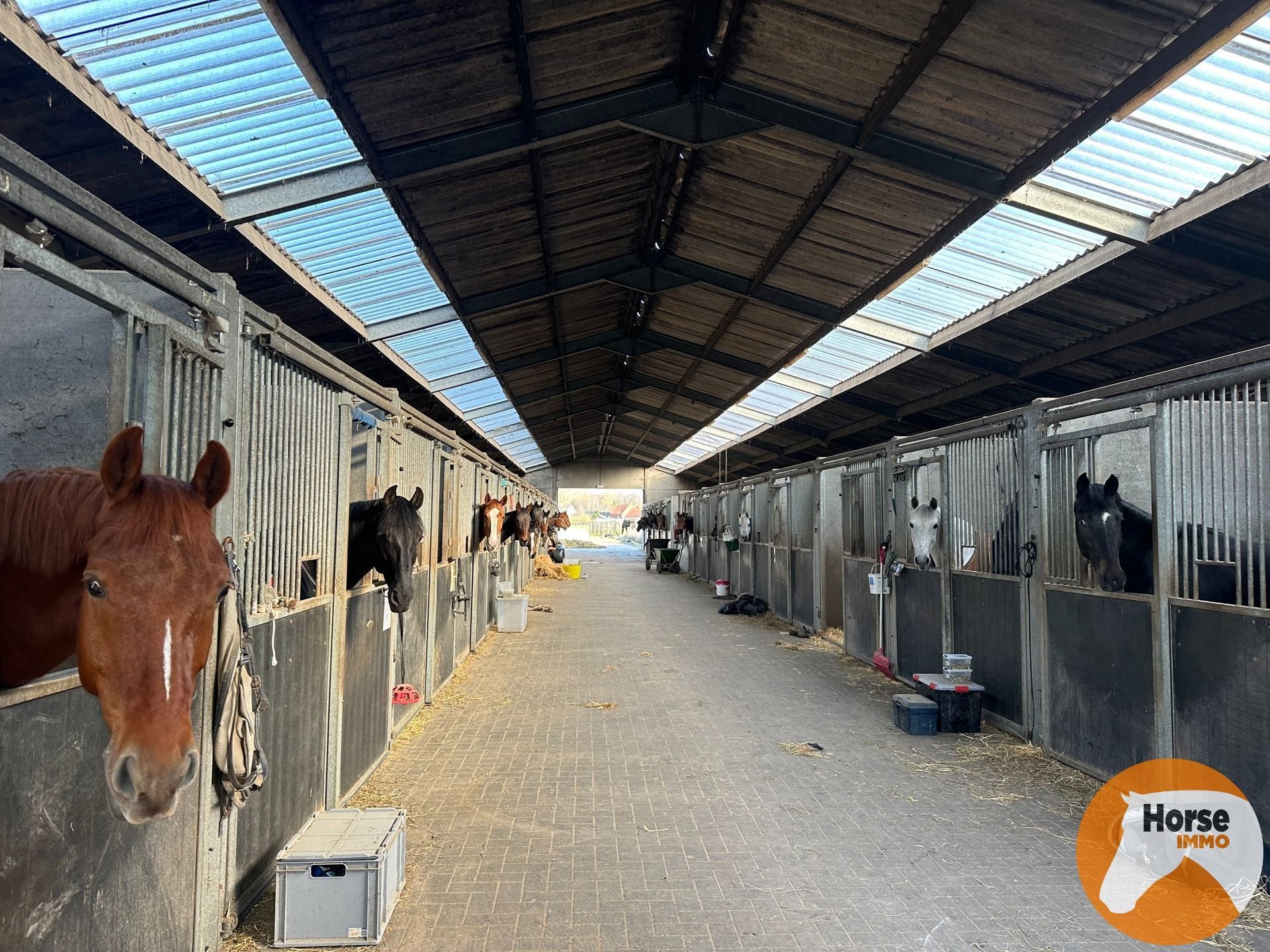 KAMPENHOUT - Professionele paardenaccommodatie op 4ha28 foto 4
