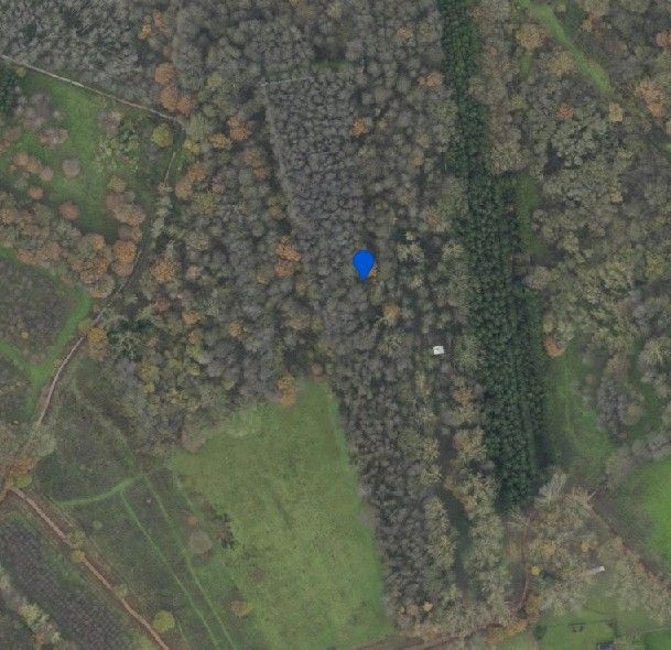 Bosgronden te Lummen foto 4