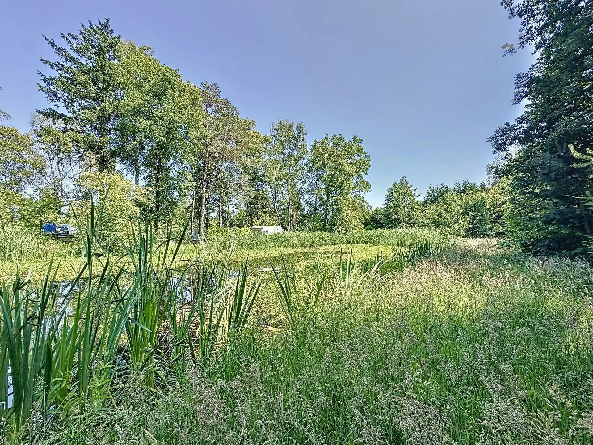 Uniek stuk recreatiegrond met vijver en bouwmogelijkheid – 2154 m². foto {{pictureIndex}}