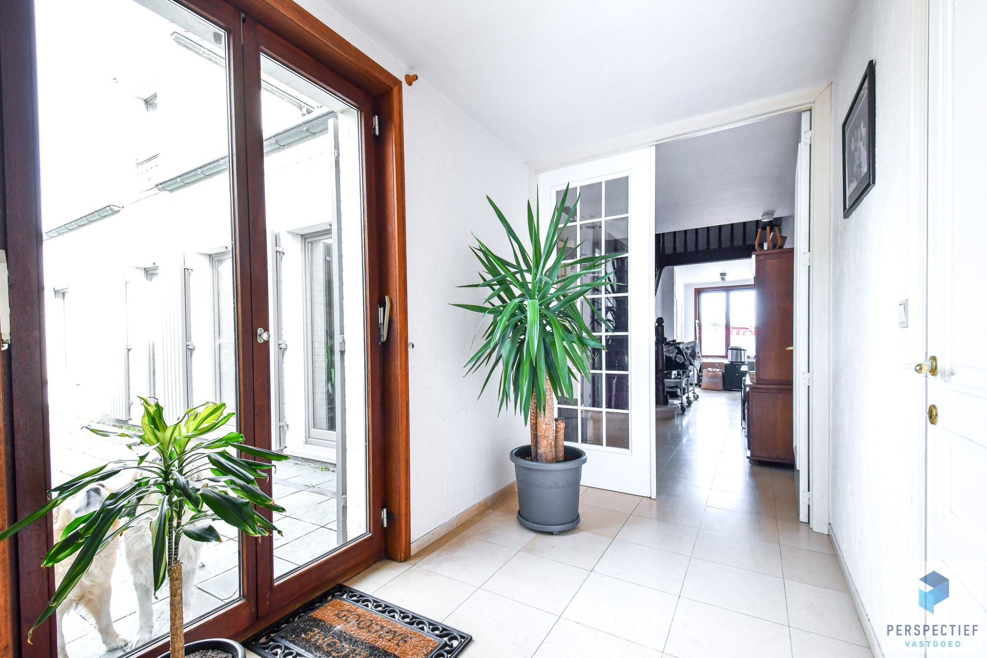 Grote villa met 4 slaapkamers in het landelijke Oedelem foto 12