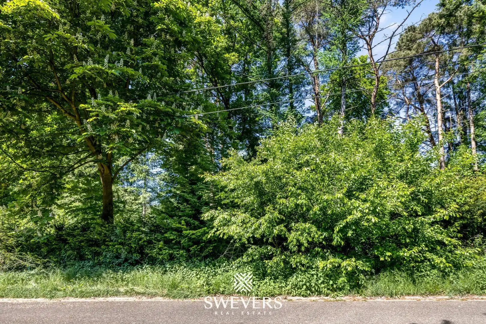 Lot 1 | Exclusieve bouwgrond aan Kasteel Meylandt foto 22