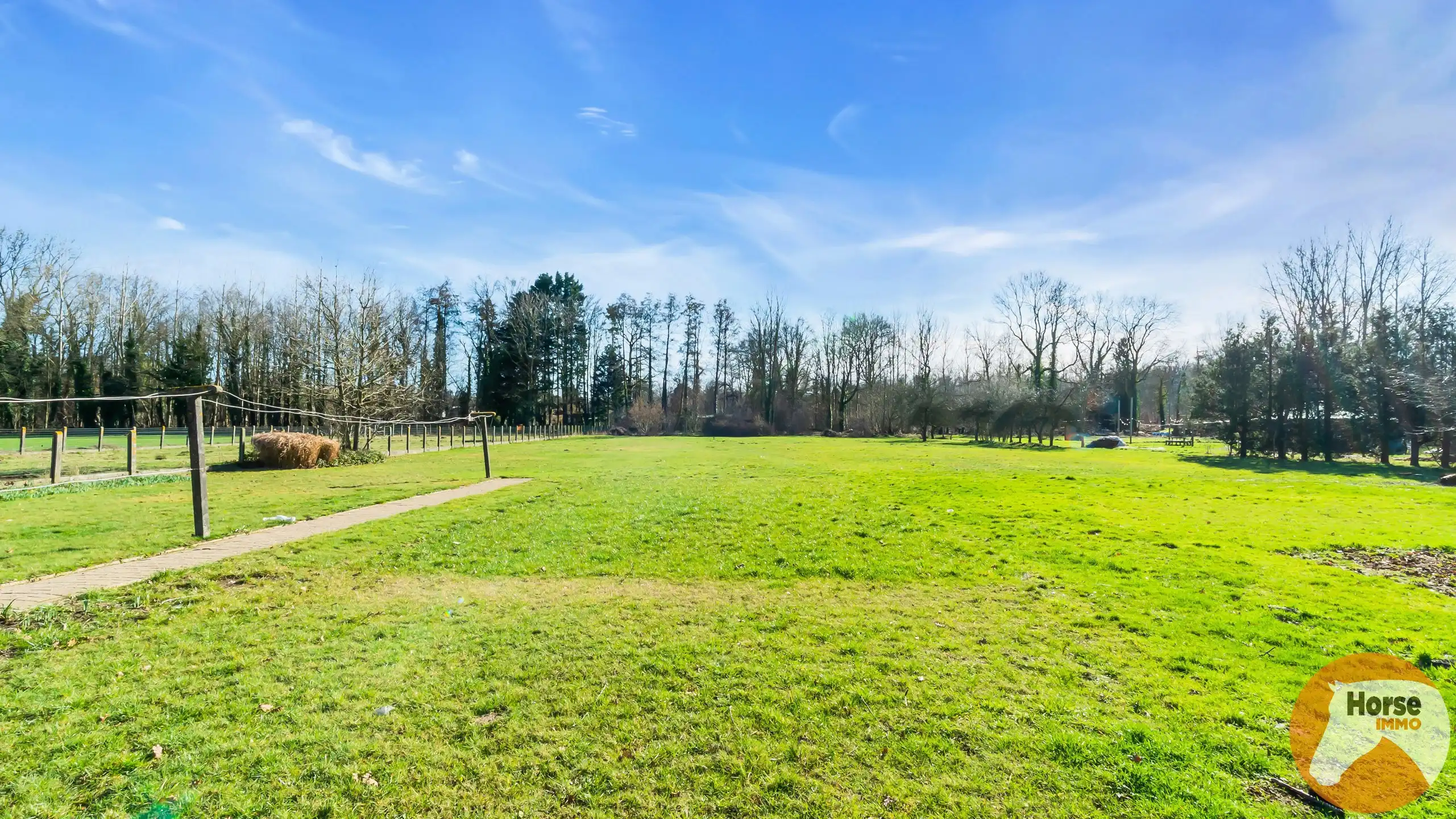 NIEUWRODE - Te renoveren woning op 25a50 foto 4