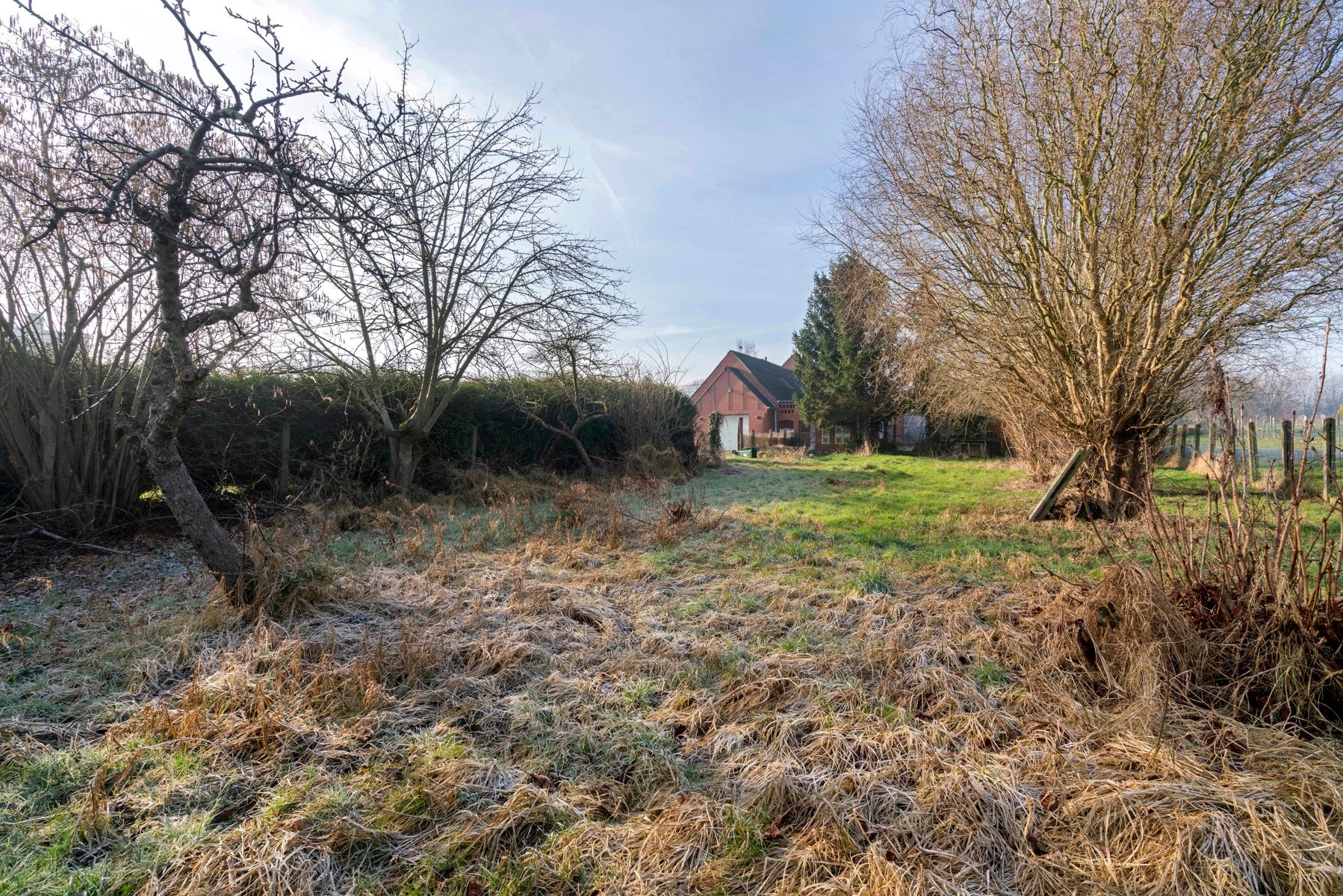 Ruime woning met een perceeloppervlakte van 2.142 m²! foto 14