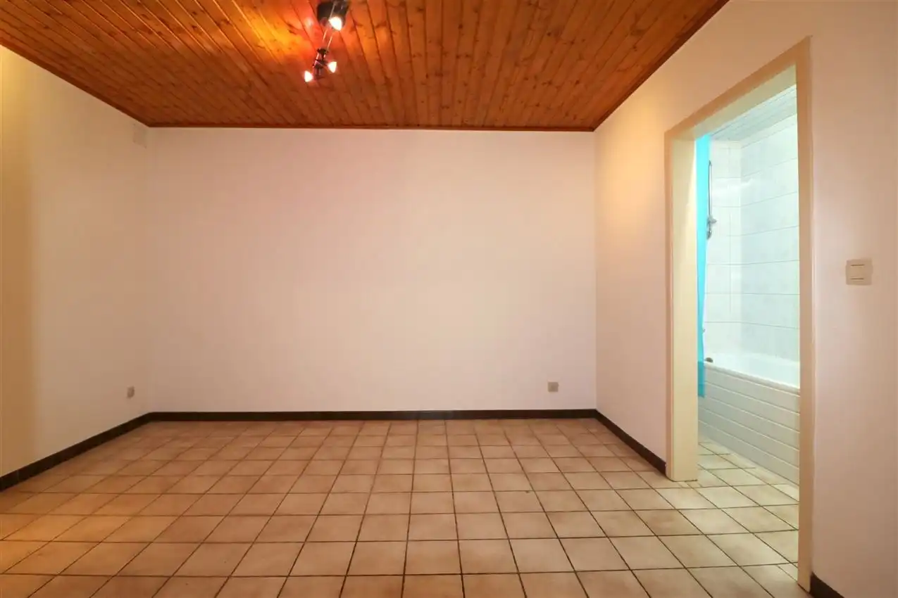 charmant, ruim, mogelijkheid beroep of kangoeroe foto 54