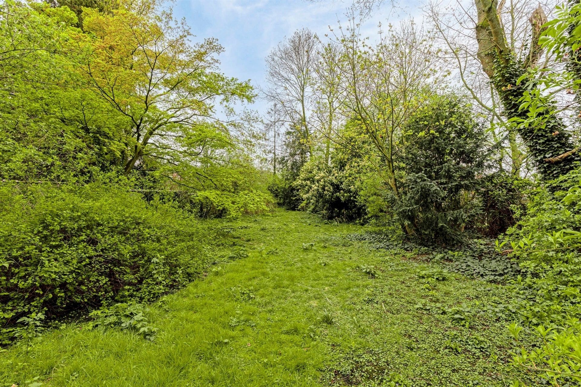 Prachtige burgerwoning in het centrum foto 28