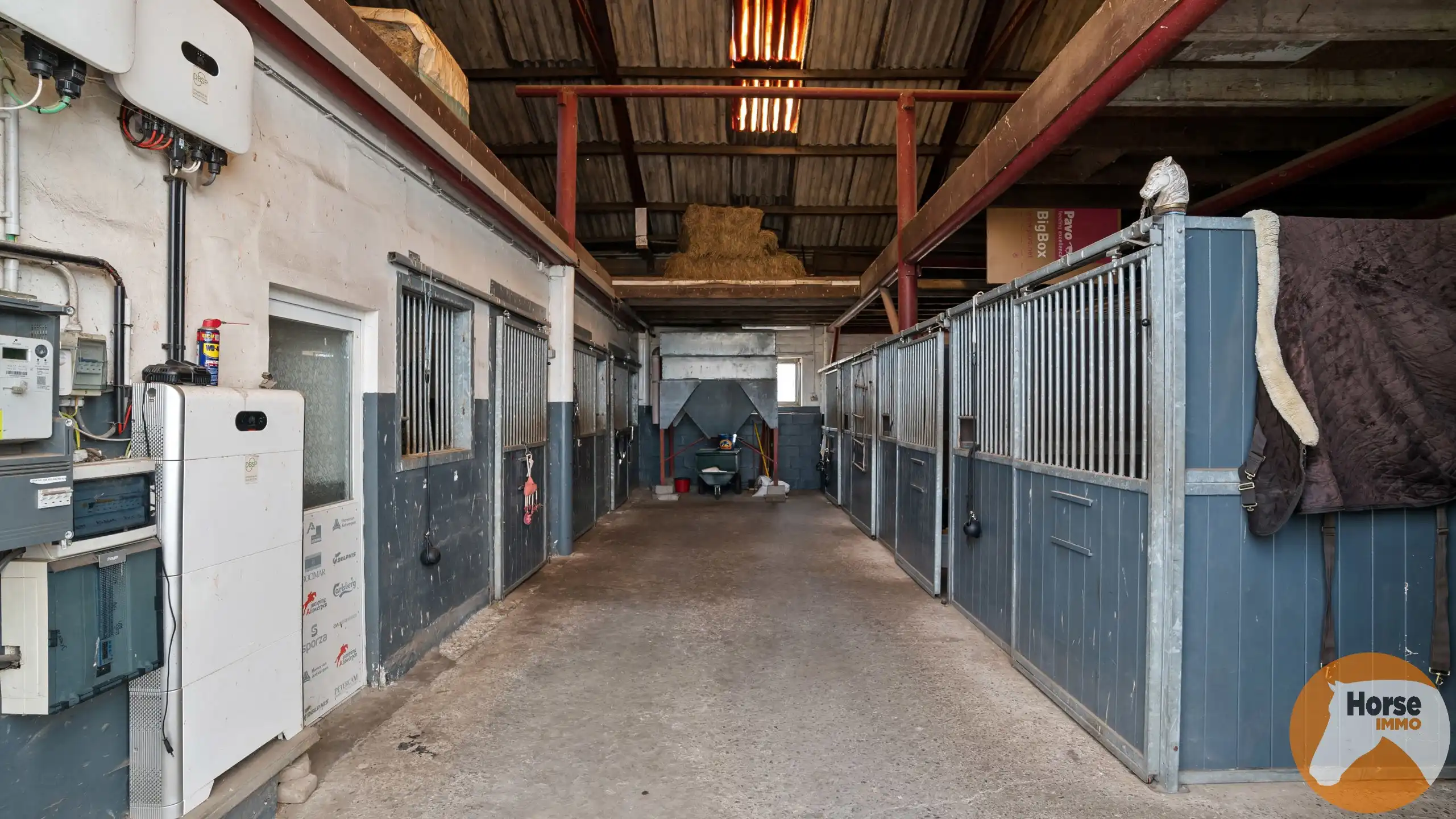BORNEM – Professionele paardenaccommodatie met villa op 3HA foto 43