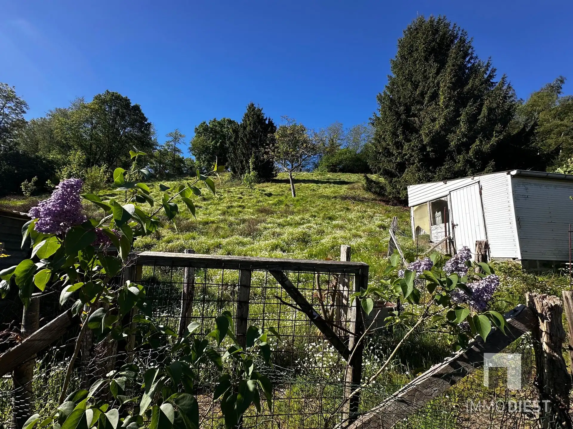 Woning met stalling/opslagplaats en weiland foto 32