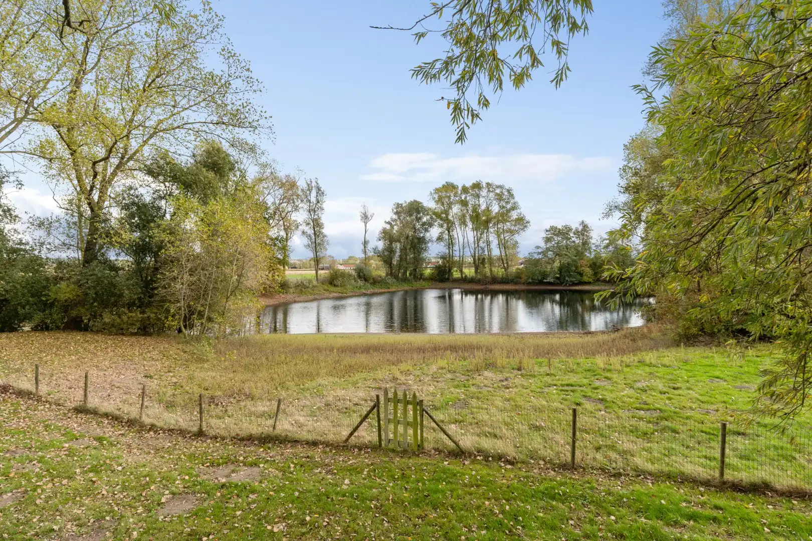 Exclusief landhuis “Reigershof” met bijgebouw en uniek domein te Damme foto 17