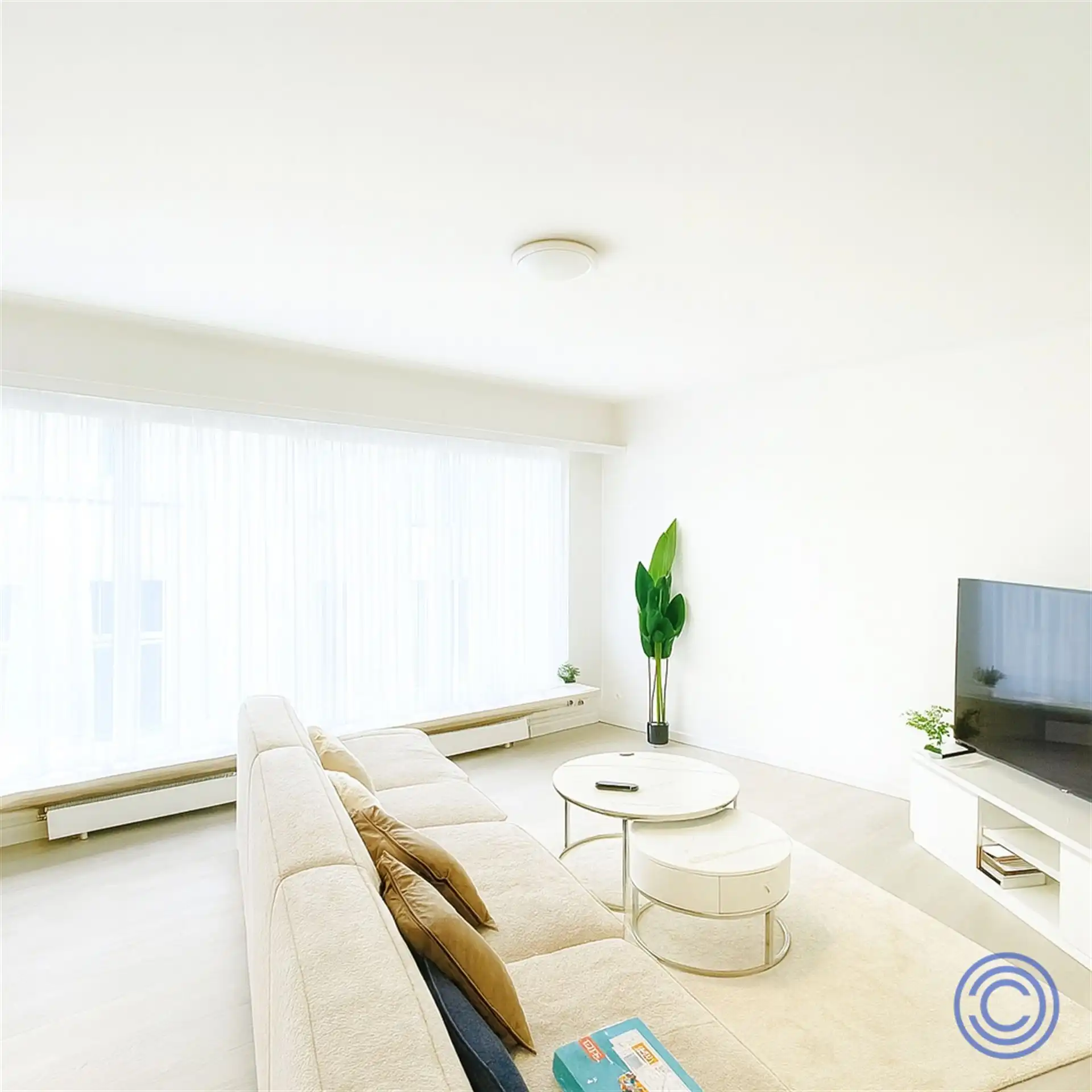 Gezellig 1-slpk appartement in autoluwe straat! foto {{pictureIndex}}