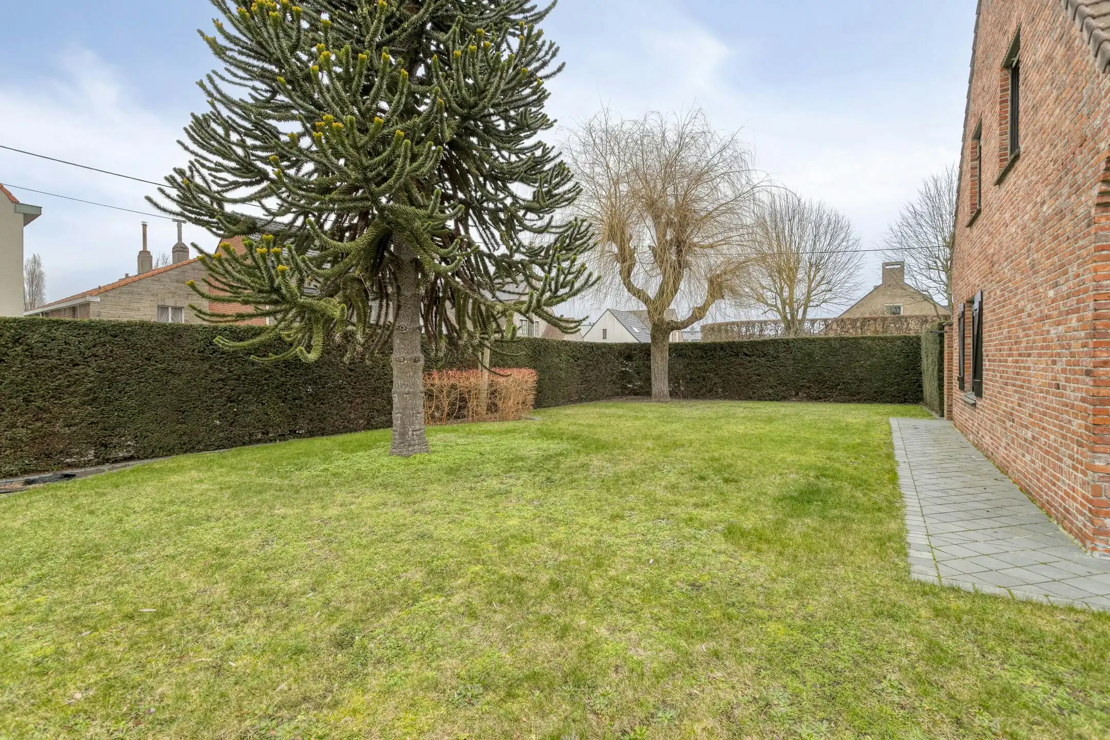 Halfopen huis met 4 kamers te koop op topligging in Waregem foto 9