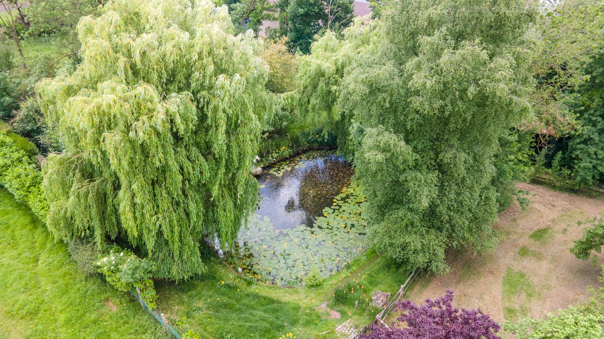 Ruime villa met mooie tuin foto 7