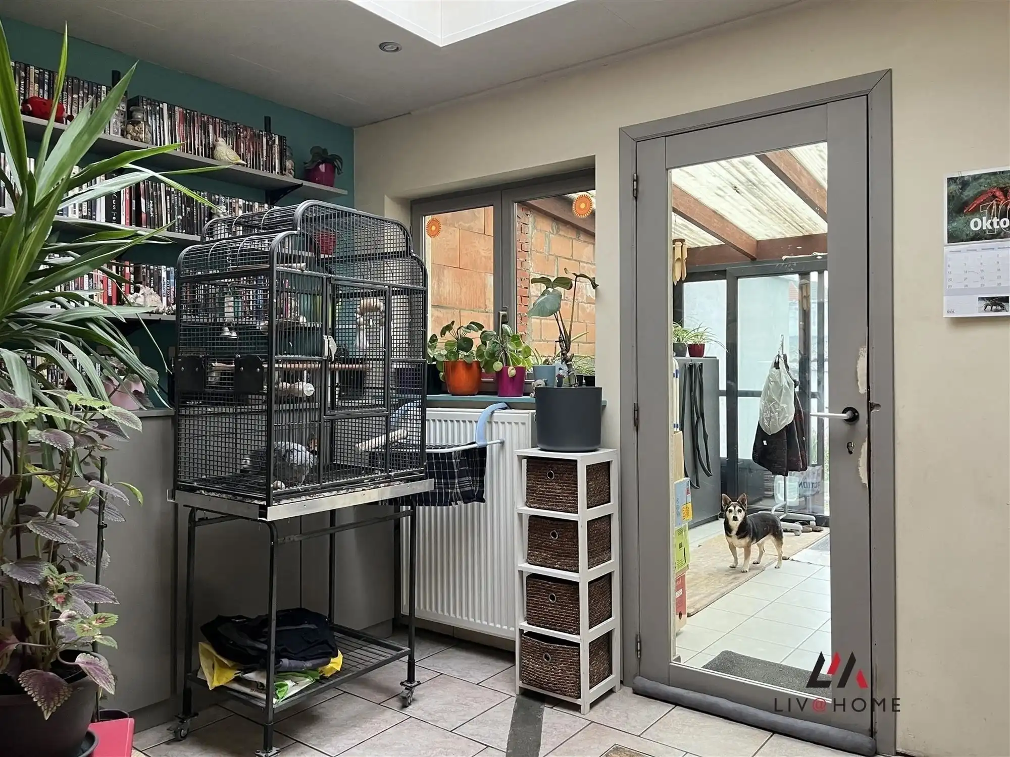 2 aangrenzende rijwoningen met gemeenschappelijke tuin foto 13