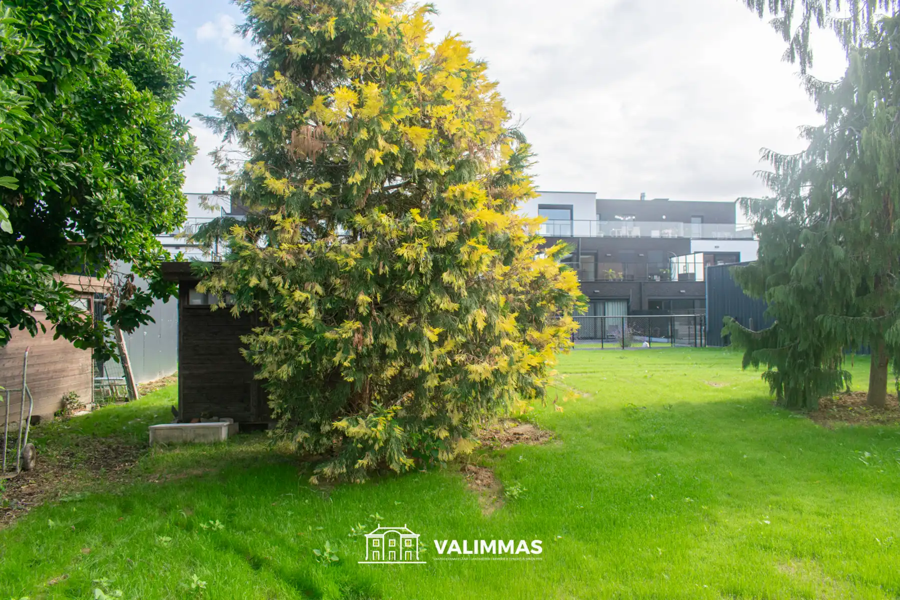 Ruime, nog te renoveren hoeve met tuin, garage & bijgebouwen foto 11