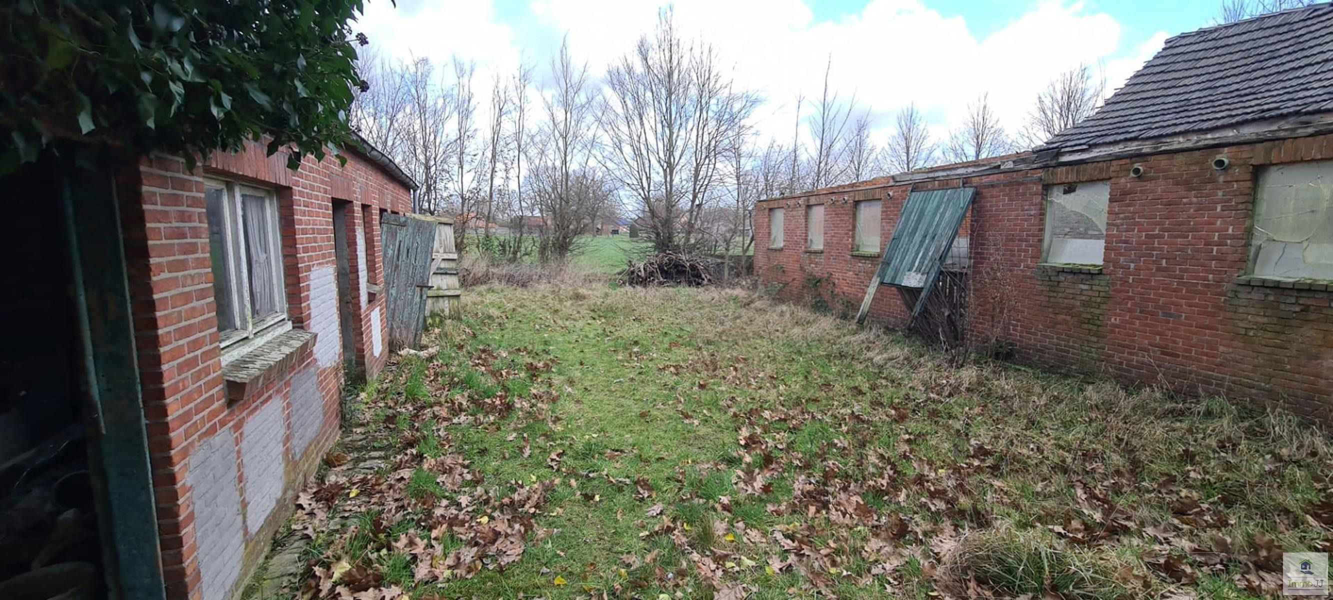 Te renoveren hoeve met weiland  foto 5