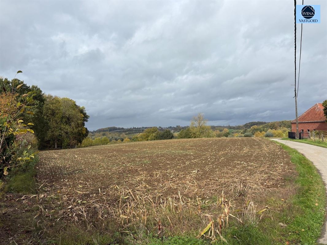 RUIME WONING MET TUIN EN WEILAND foto 12