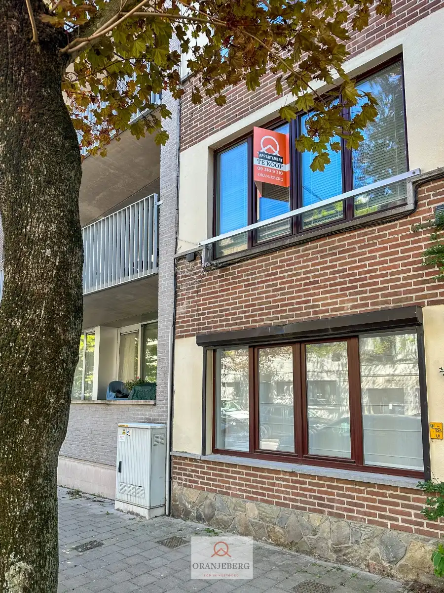 Gezellig 2 slaapkamer appartement nabij Gent-Sint-Pieters met terras en 2 kelderbergingen foto 3