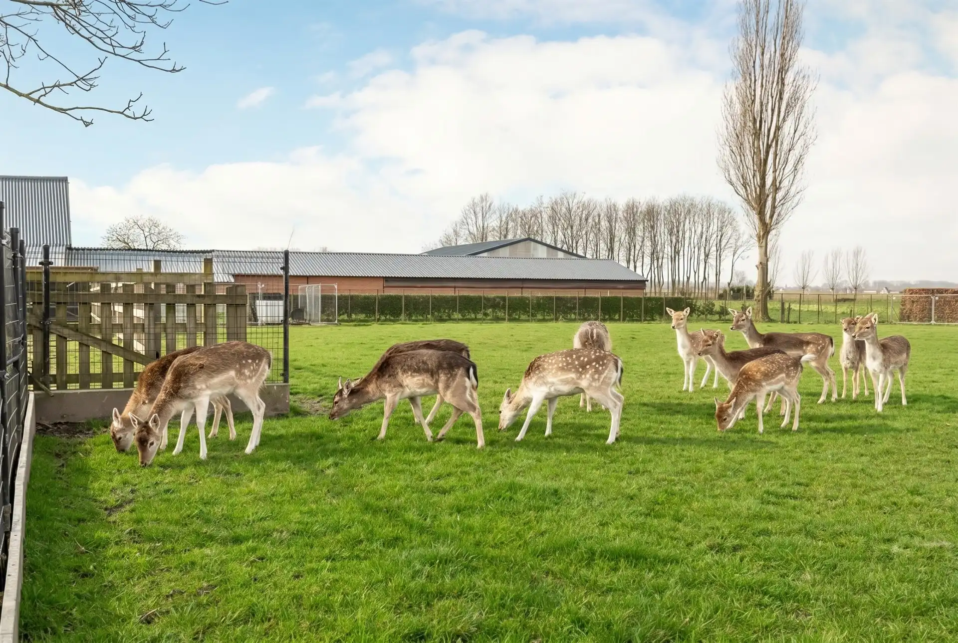 Ruime woning met bijbouw en weide op perceel van 6790 m²  foto 28