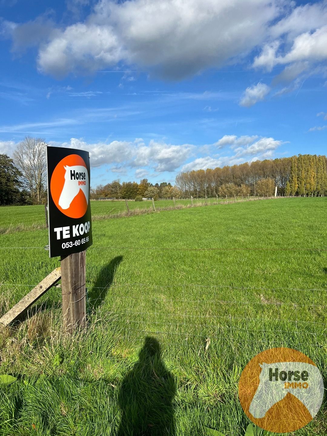 HOFSTADE - Weide van +/-58are foto {{pictureIndex}}